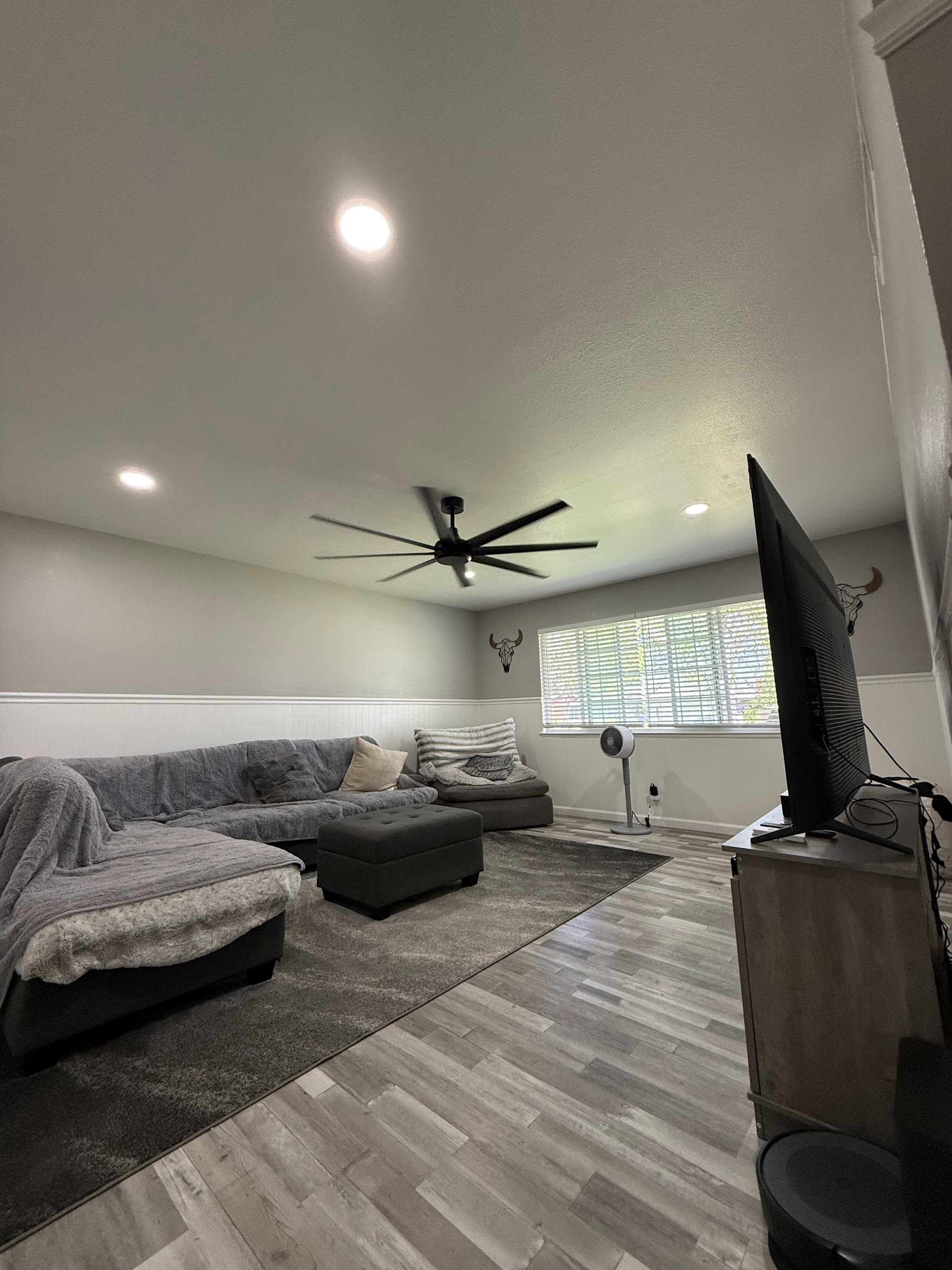 Ceiling Fans & Lighting